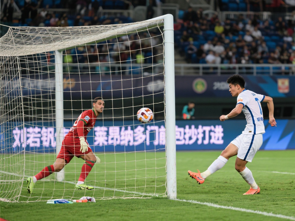 平台还积极 平台还积极